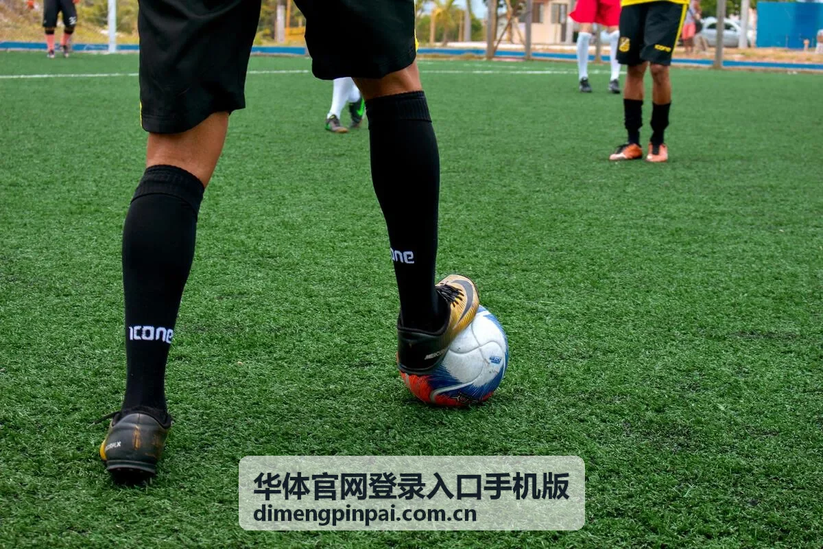 华体官网登录入口手机版帮助与指引页面