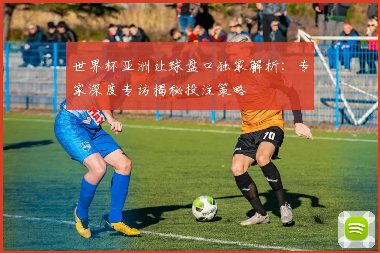 世界杯亚洲让球盘口独家解析:专家深度专访揭秘投注策略