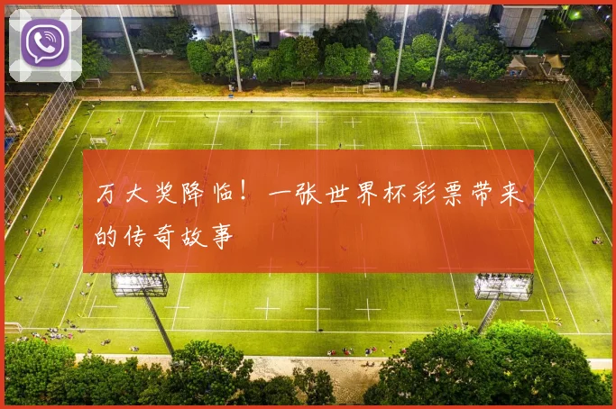 万大奖降临！一张世界杯彩票带来的传奇故事