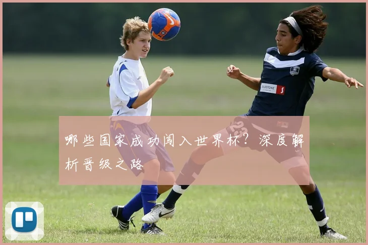 哪些国家成功闯入世界杯？深度解析晋级之路