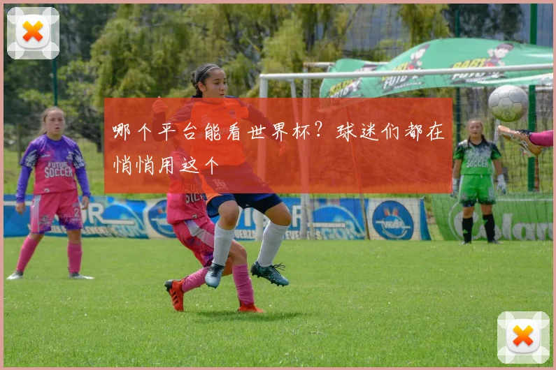 哪个平台能看世界杯？球迷们都在悄悄用这个