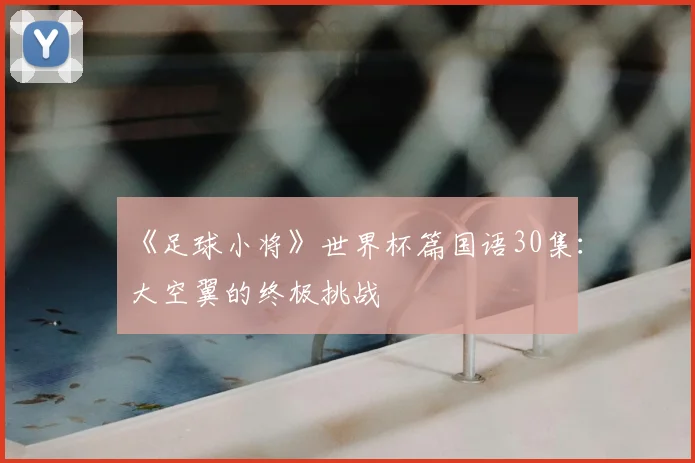 《足球小将》世界杯篇国语30集：大空翼的终极挑战