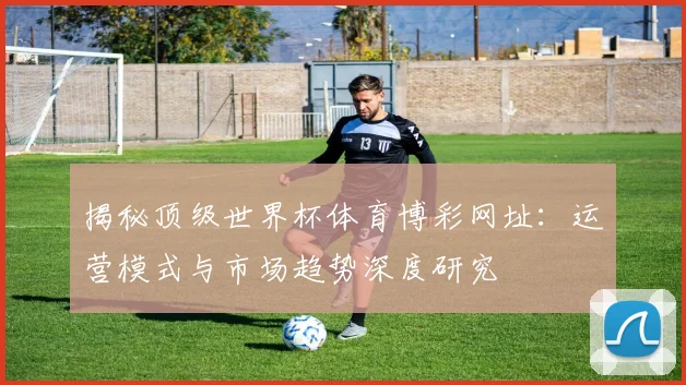 揭秘顶级世界杯体育博彩网址：运营模式与市场趋势深度研究
