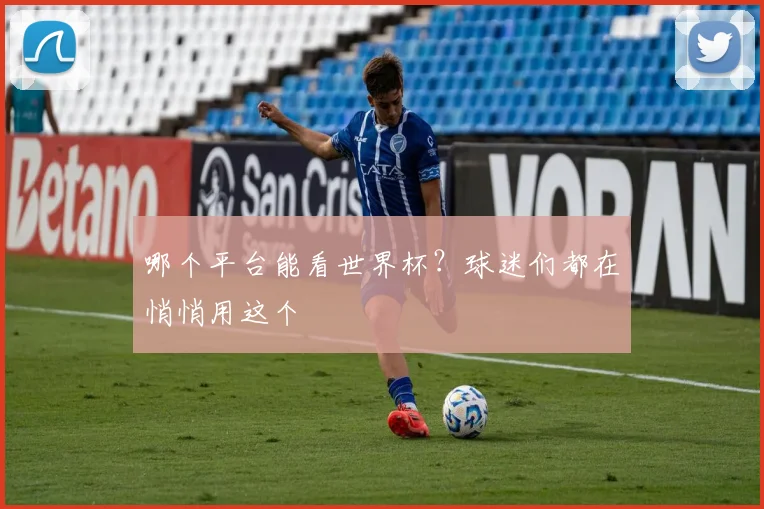 哪个平台能看世界杯？球迷们都在悄悄用这个