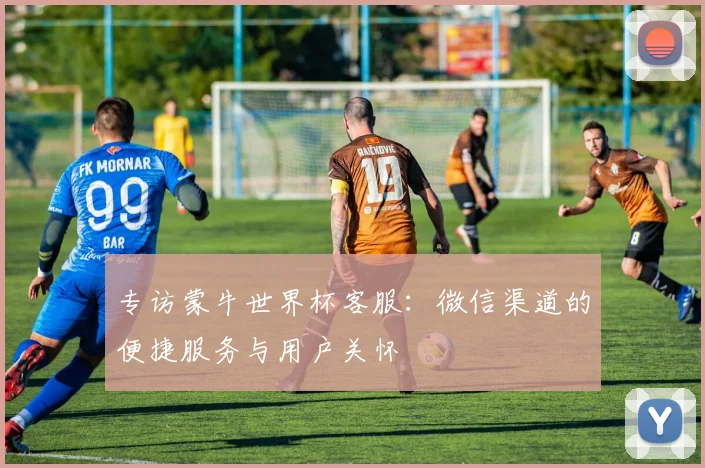 专访蒙牛世界杯客服：微信渠道的便捷服务与用户关怀